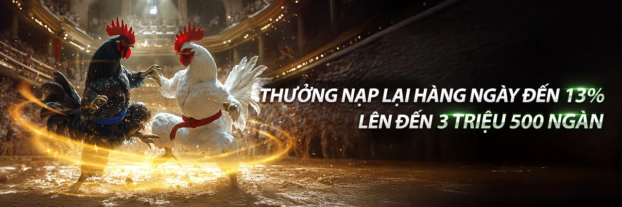 Trường gà trực tuyến sôi động với lối chơi đặc sắc